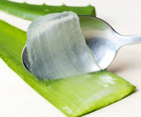 The Healing Power of Aloe Vera in Natural Soap: Soothe, Hydrate, and Repair